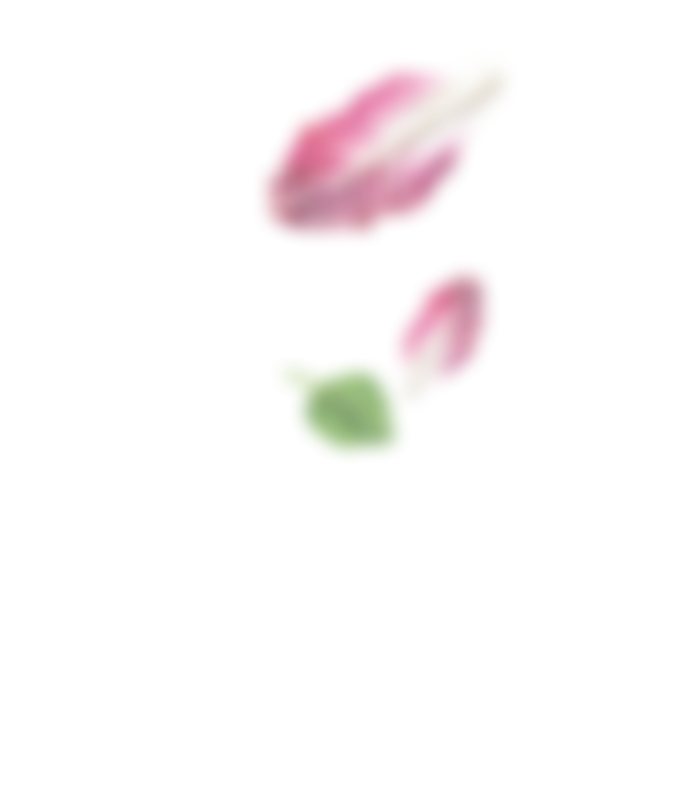 Citres - impegno per l’ambiente