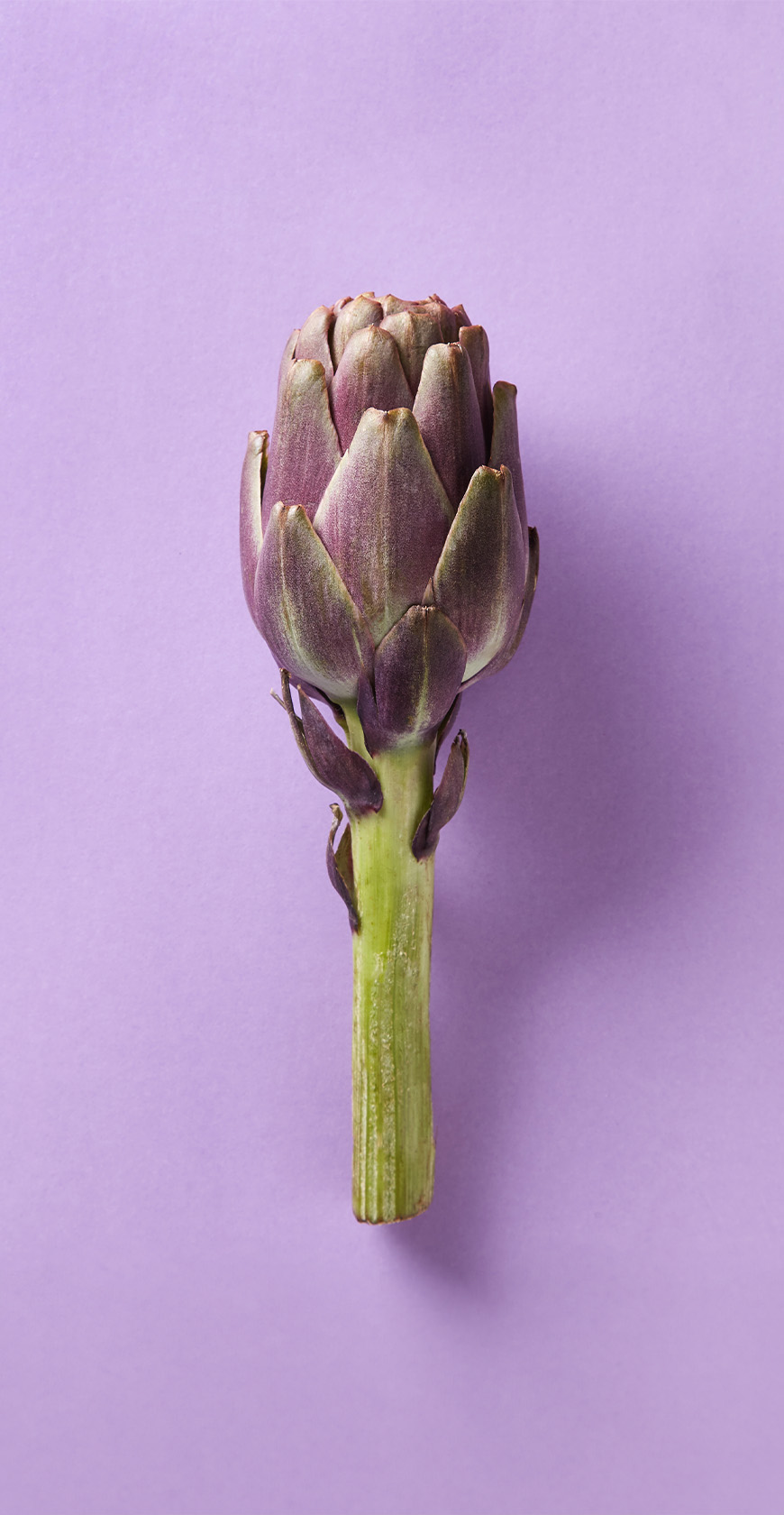 carciofi-870.jpg