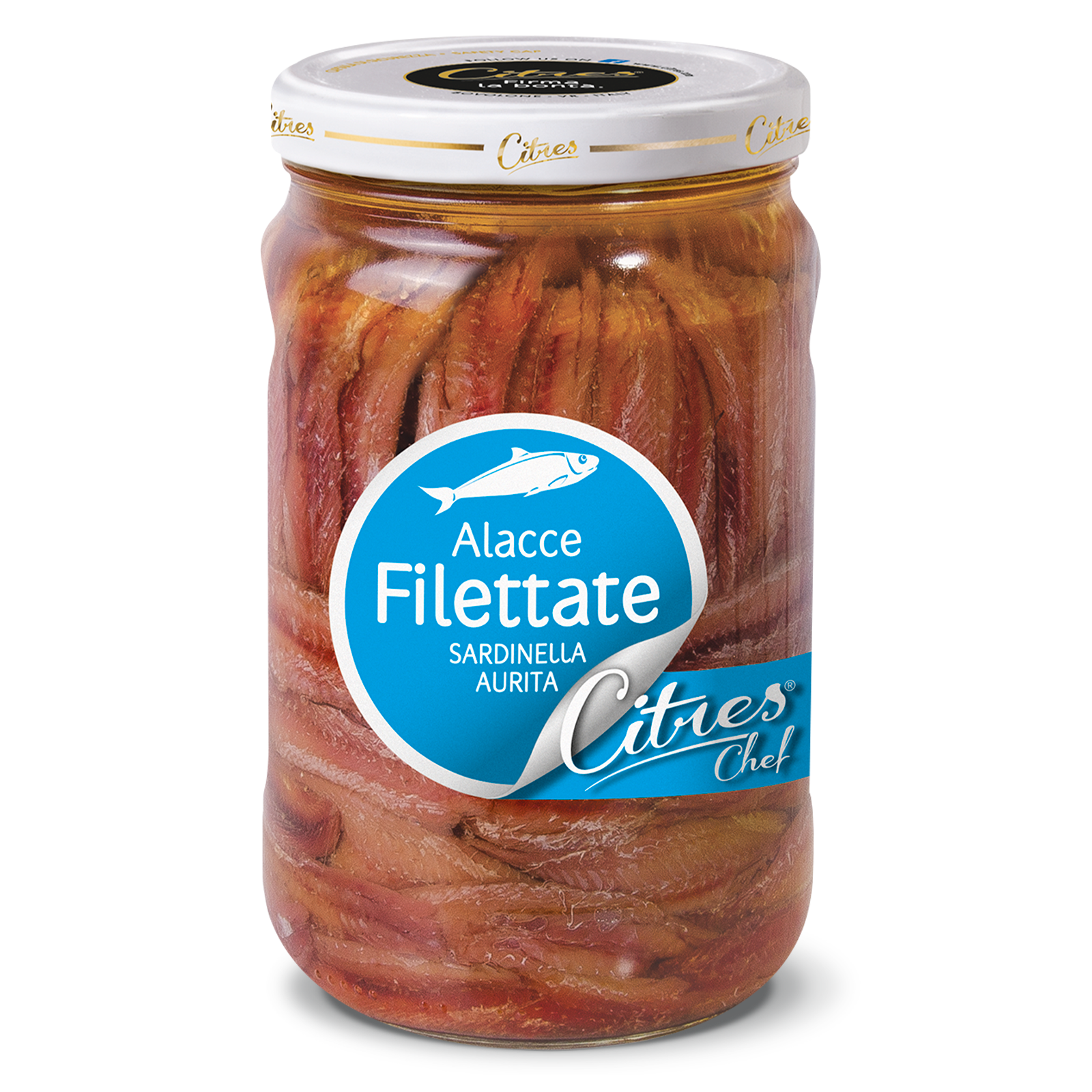 Anchovies Fillets Sardinella Aurita 1550 g